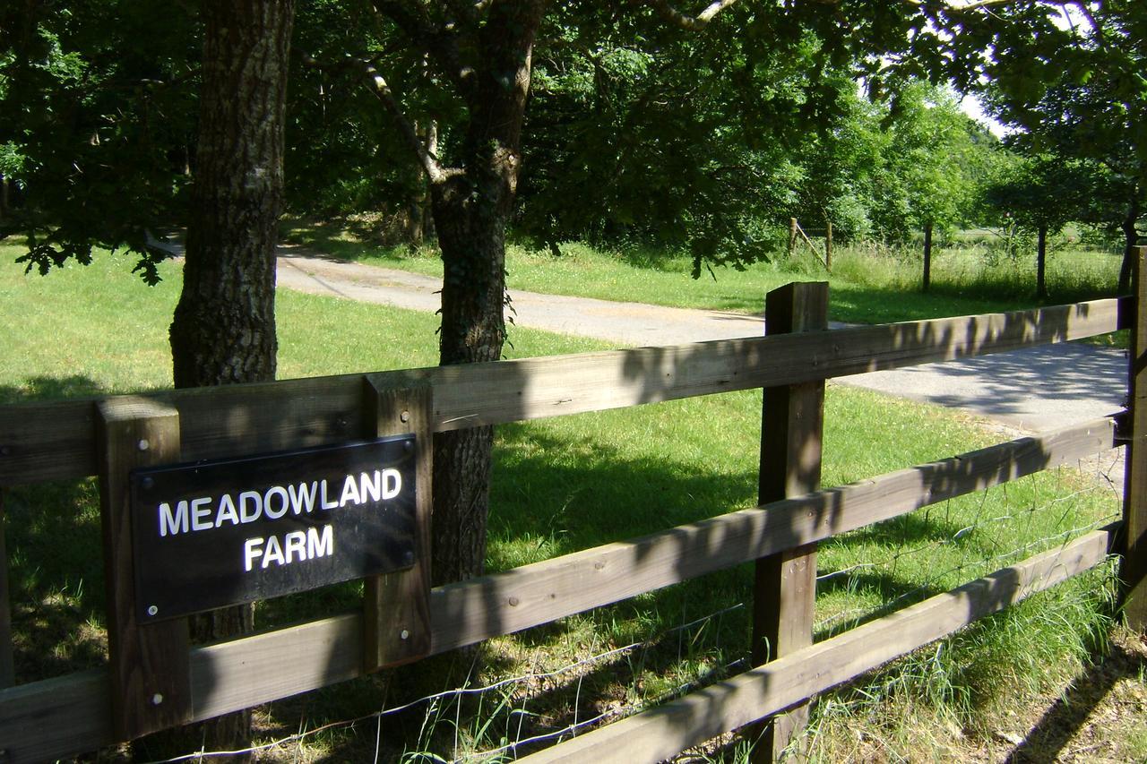 Dolton Meadowland Farm Bed & Breakfast エクステリア 写真