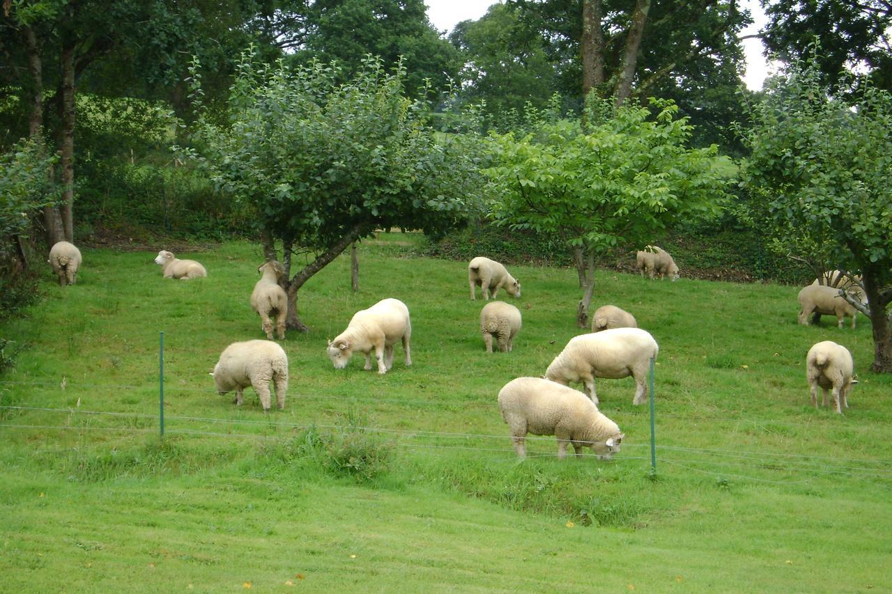 Dolton Meadowland Farm Bed & Breakfast エクステリア 写真